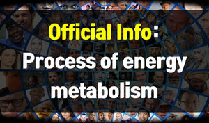 The principle of generating free radical in the process of energy metabolism